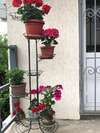 Гостевой дом Guest house Y morya Сухум-3